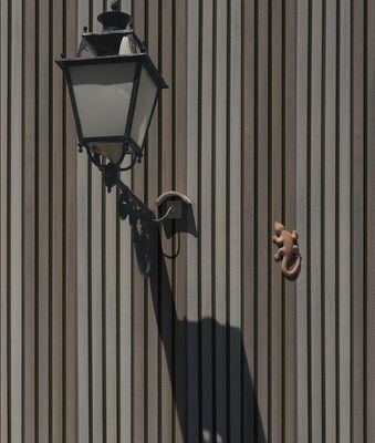 Typically 202mm X 20.5mm Wood Plastic Composite Wall Panel UV Stabilized Long-Lasting Maintenance Free Wall Cladding System